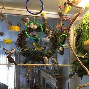 Meet your Posher, Pamela